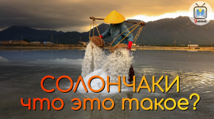 Солончак, что это такое?