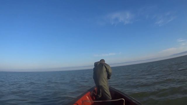 Промысловая рыбалка на Каспийском море. Кизляр, Дагестан. смотреть онлайн