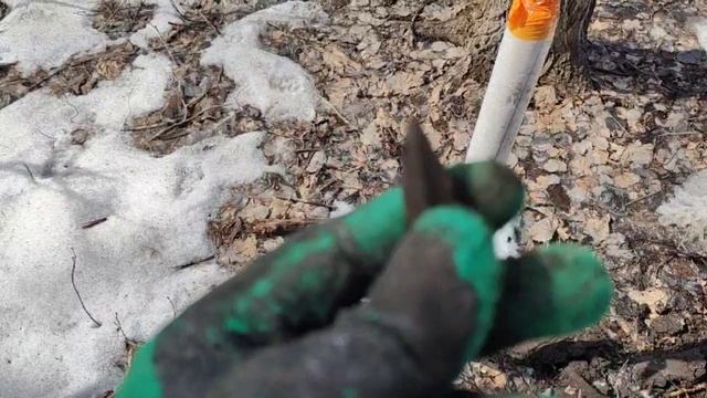 Скифский наконечник