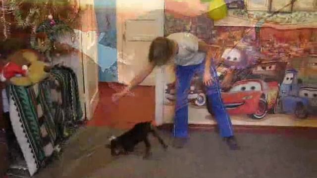 Klassik Allert iz Komandy Azart смотреть онлайн