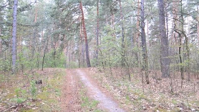 КАК Сохранить фиалки ДЕТКИ на время ОТПУСКА? Юлия Датта смотреть онлайн