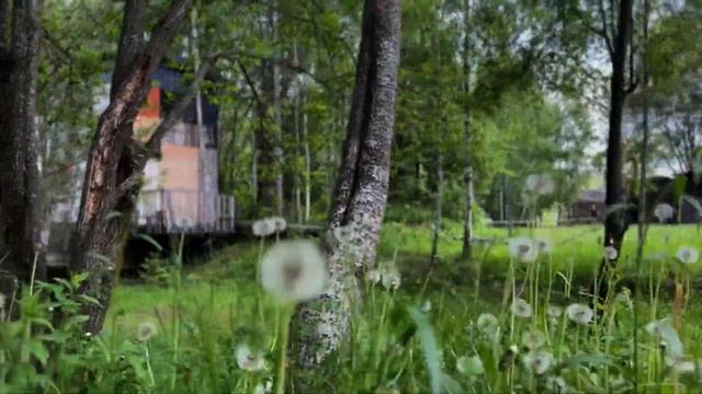 Видеопленер в Никола - Ленивец июнь 2022 смотреть онлайн