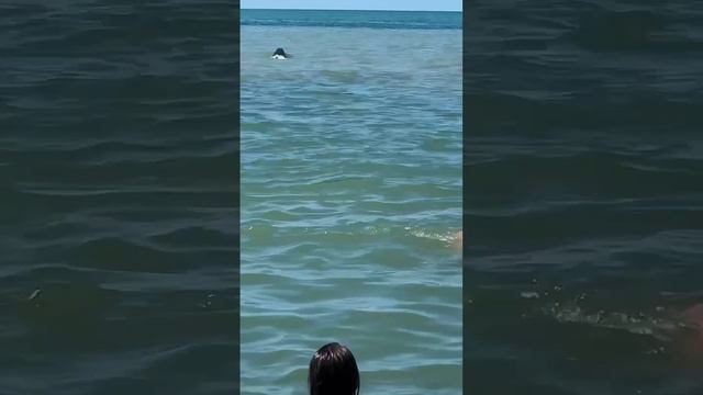 Бархатный сезон в Сочи продлится дольше обычного💛 смотреть онлайн