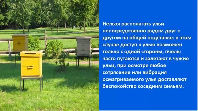 Как ставить ульи для пчел смотреть онлайн