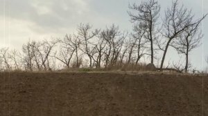 САМЫЕ СТРАШНЫЕ И МИСТИЧЕСКИЕ МЕСТА РОССИИ. Топ 10 самых аномальных мест России.