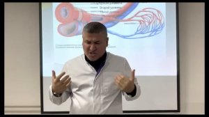 Общие принципы строения сердечно-сосудистой системы