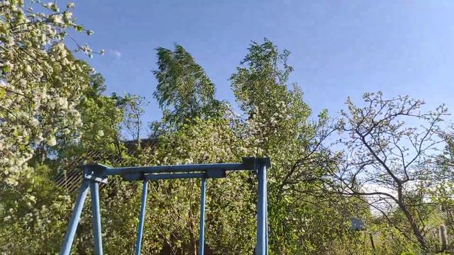 ДАЧА 24.05.21.рассадила огурцы.. грецкий орех проснулся?2 часть. смотреть онлайн