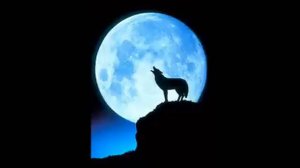 Blackmore's Rainbow Wolf to the Moon backing track (guitar)