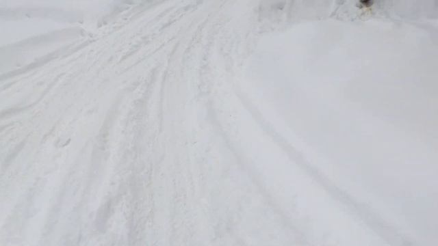 Влог тренировка с игрой , меня не выписали.. Нужна ваша помощь!!! Смотри до конца! смотреть онлайн