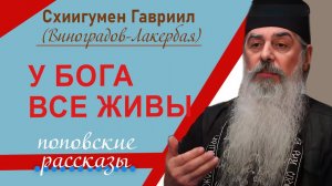 Поповские рассказы. Отец Гавриил. У Бога все живы. Кавказский скит Валаама. Верую @user-gw3kj1lb7j