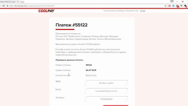 SkyWay Capital. Как пополнить счет с помощью VISA и MasterCard. смотреть онлайн