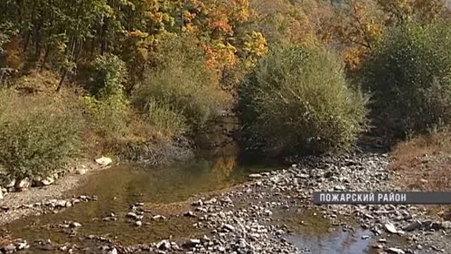 Национальный парк «Бикин» создан смотреть онлайн