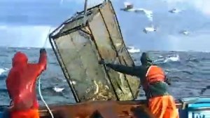 Лов камчатского краба в Беринговом море