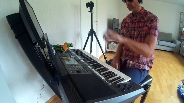 Yamaha PSR-S970 Demo & Review 07 - One style from every category! смотреть онлайн