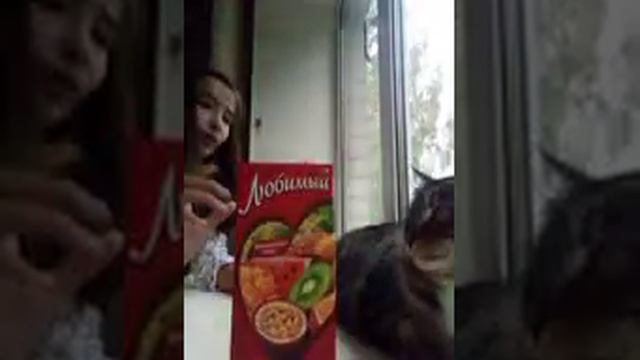 кот решает что я буду делать в течение пол часа! спасибо за 33 подписчика❤️❤️❤️ смотреть онлайн