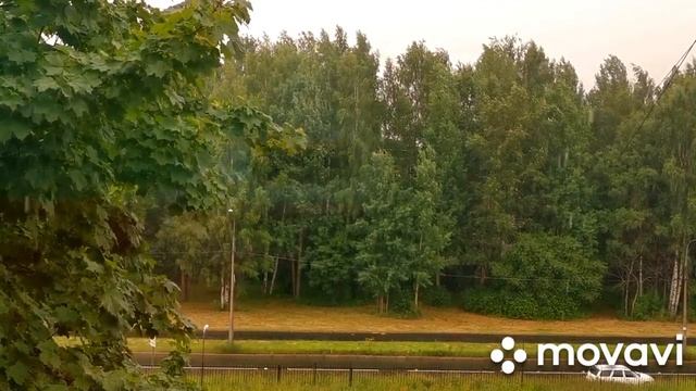 ШУМ ДОЖДЯ ДЛЯ РЕЛАКСА И СНА без комментариев смотреть онлайн