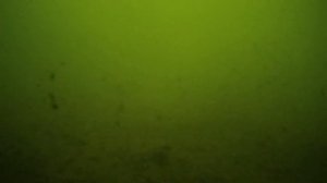 ЛОВЛЯ Пассивного КАРАСЯ со ЛЬДА в МАРТЕ + Кадры с ПОДВОДНОЙ СЪЁМКИ