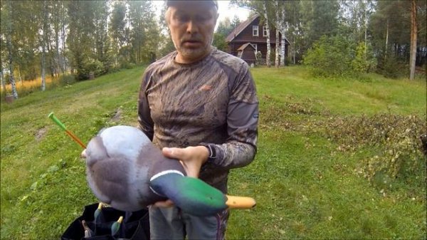 Обзор чучел уток кряква фирмы AVIAN X АВИАН X  2 часть