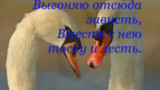 стихи, Капитальный ремонт в душе смотреть онлайн