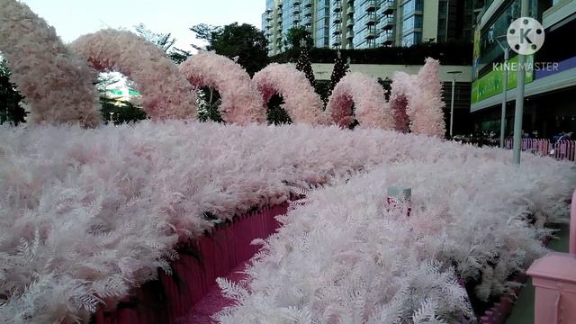 THE PINK GARDEN AT HARBOUR NORTH, NORTH POINT BY Khent Pulvera смотреть онлайн
