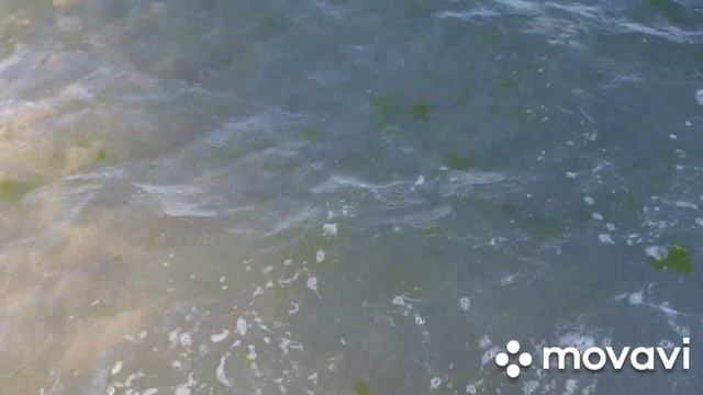 ОДЕССА?Пляж 12 станция Большого фонтана, Ривьера, август 2020 смотреть онлайн