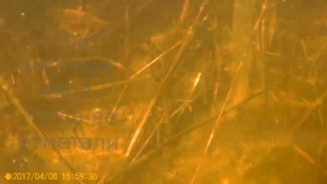 Подводная охота в Ростовской области. Сом смотреть онлайн