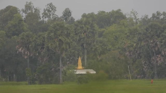 #Nikon P1000 Zoom liker смотреть онлайн