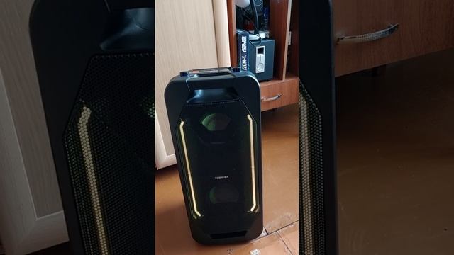 TOSHIBA TY-ASC66 спустя два месяца. Можно брать смотреть онлайн