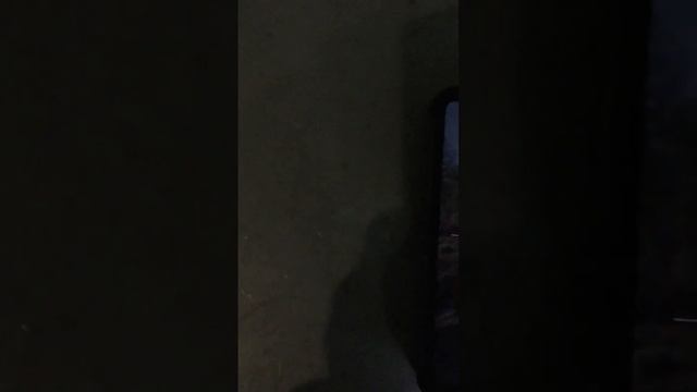 Доказательство что не работает динамик для алика смотреть онлайн