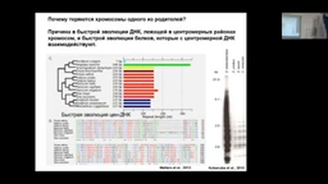Лекция "Межвидовая гибридизация и ее роль в эволюции растений". Родионов Александр Викентьевич. смотреть онлайн