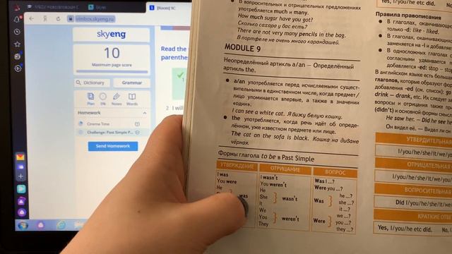 Как работать на Skyes School по модулю 9c лексика и грамматика Past Simple смотреть онлайн