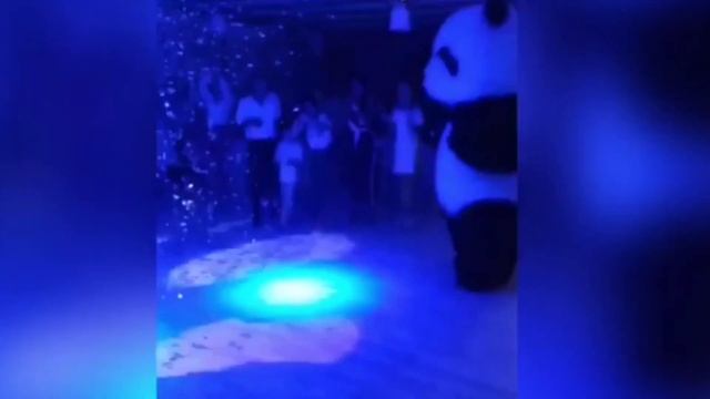 Панда станцевала на свадьбе волжан смотреть онлайн