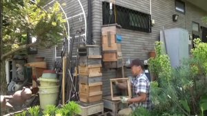 Японский улей. Установка новых корпусов