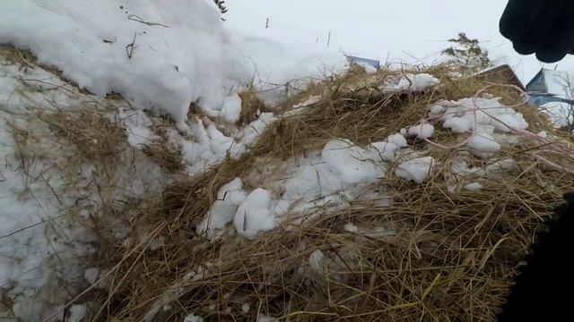 Будни на канале Омск-Москаленки. Жизнь в деревне. смотреть онлайн