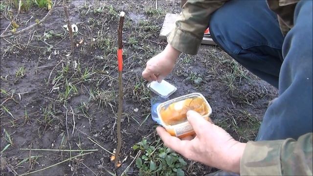 Как привить АБРИКОС на СЛИВУ. Два САМЫХ ПРОСТЫХ способа прививки НАГЛЯДНО смотреть онлайн