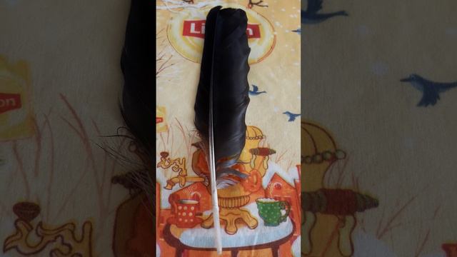 #из чего состоит птичье перо / контурное перо / перо на все случаи жизни смотреть онлайн