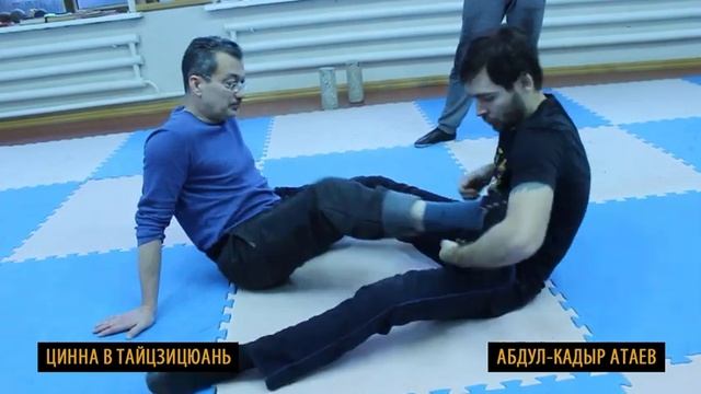 4.7. Использование цинна тайцзицюань в партере. смотреть онлайн