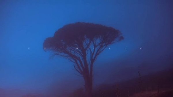 best of øneheart, antent, reidenshi, tilekid, knonzzz | ambient music mix