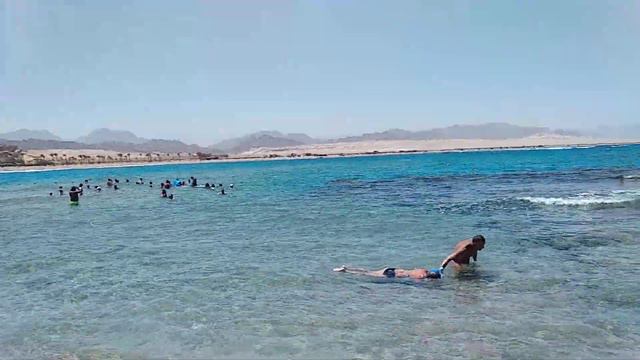 Barselo tiran sharm,пляж отеля. смотреть онлайн