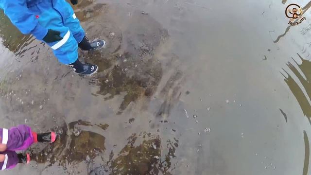 Дети едут на машине к затопленным дачам и большим лужам. МанкиИгры. смотреть онлайн