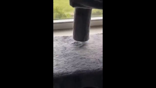 Try Not To Laugh Dogs And Cats ? - Best Funniest Animals Video 2023
#animals #cuteanimals