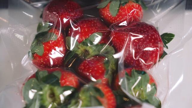 ProSeal Vacuum Sealer смотреть онлайн