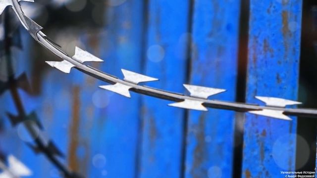 Конвоир пользовал их по очереди, а когда одна из них отказала, случилось невероятное… смотреть онлайн