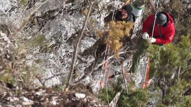 Веревочный парк 