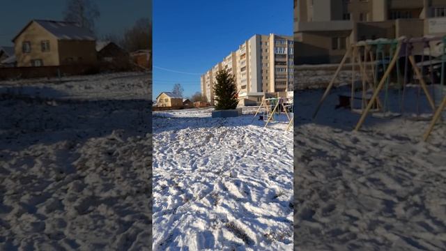 Елка жёлтая ночью зеленая днем. смотреть онлайн