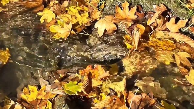Виктор Гюго смотреть онлайн