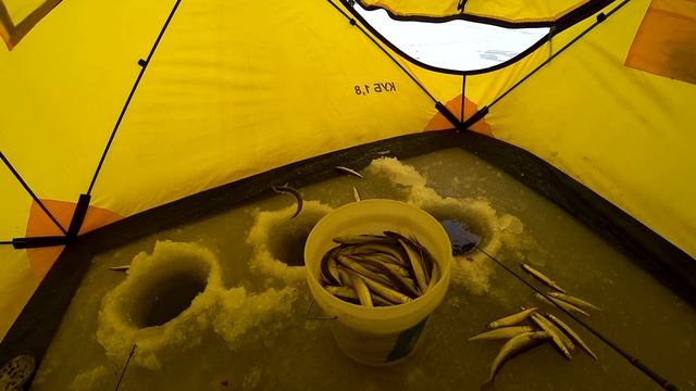 Корюшка! / Открытие зимнего сезона, рыбалка по первому льду смотреть онлайн