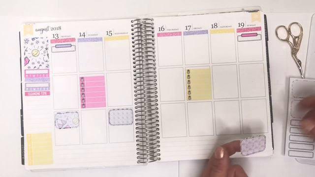 PLAN WITH ME Using My Erin Condren Life Planner | Planner Community Chat смотреть онлайн