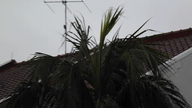Fujifilm Finepix S3300 HD zooming test смотреть онлайн
