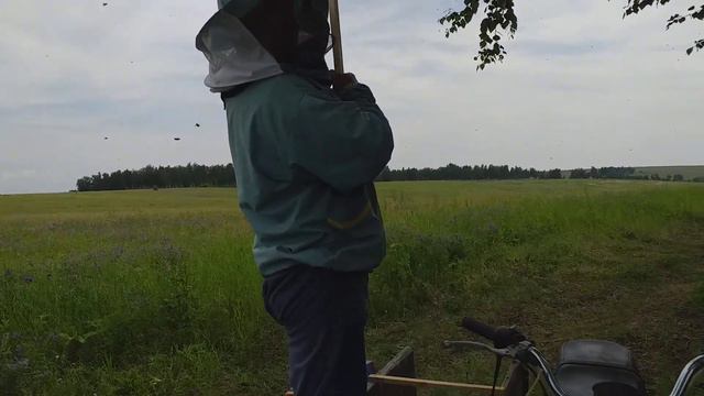 На кочевой пасеки вышел РОЙ! Ждал нас 2 часа...🐝😀 [16 июля] смотреть онлайн